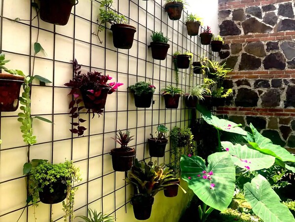 Área da propriedade