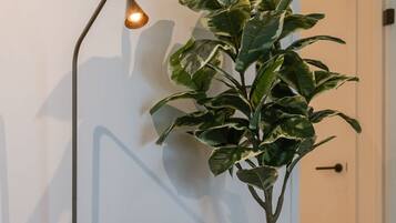 2 bedrooms, Internet