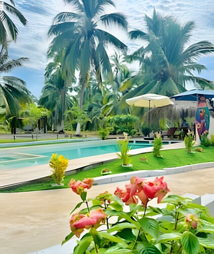 Casa Tortuga Playa La Saladita - Casa Las Palmas