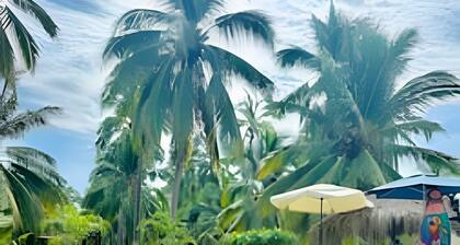 Casa Tortuga Playa La Saladita - Casa Las Palmas