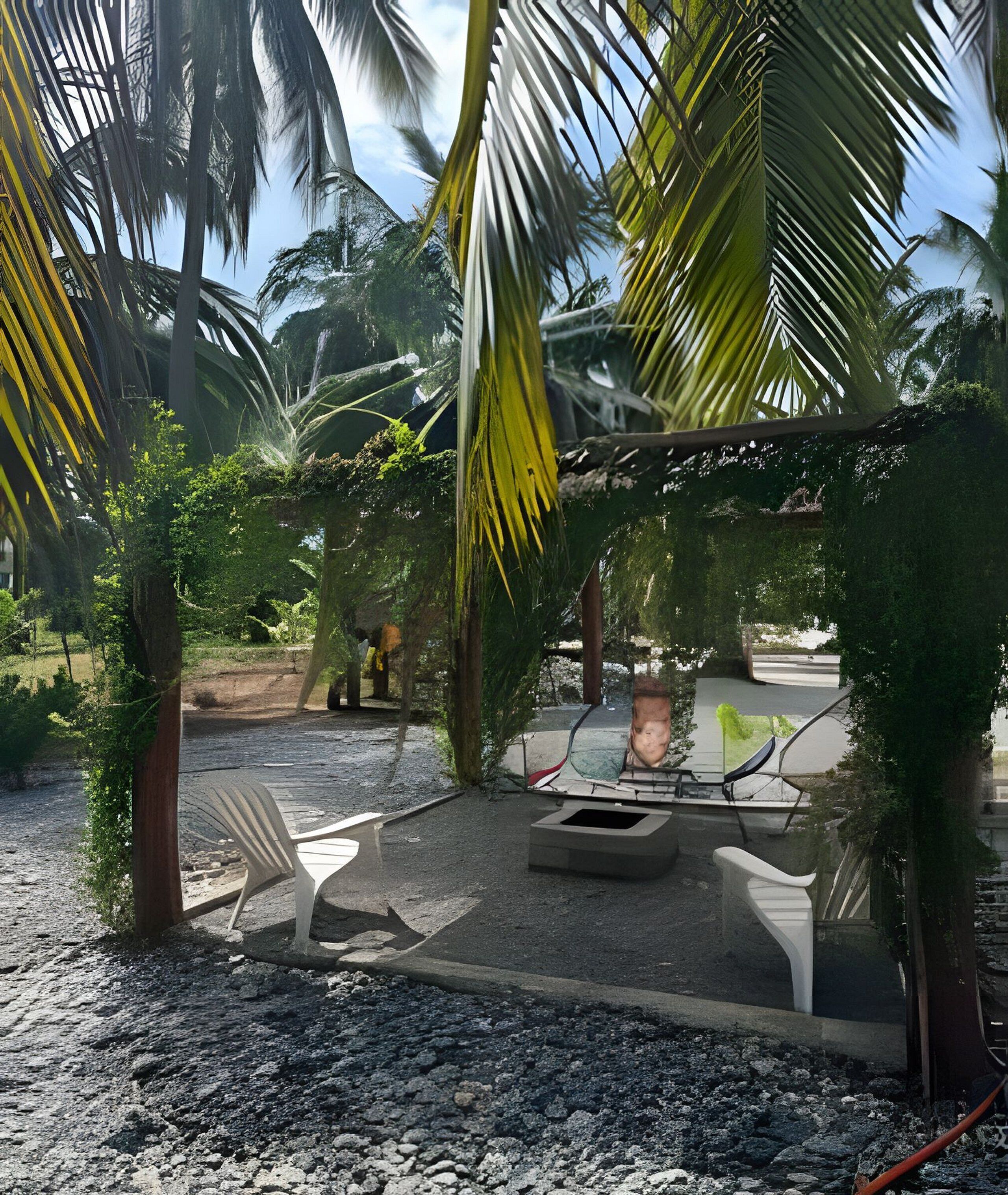 An outdoor seating area with a concrete fire pit, surrounded by palm trees and greenery.