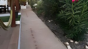 Un sendero bordeado de palmeras y plantas con flores, que conduce a una zona cubierta con asientos.