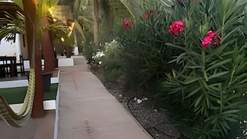 المنطقة المحيطة بالمنشأة