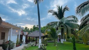 Un patio con palmeras, una estructura de techo de paja y plantas en macetas.