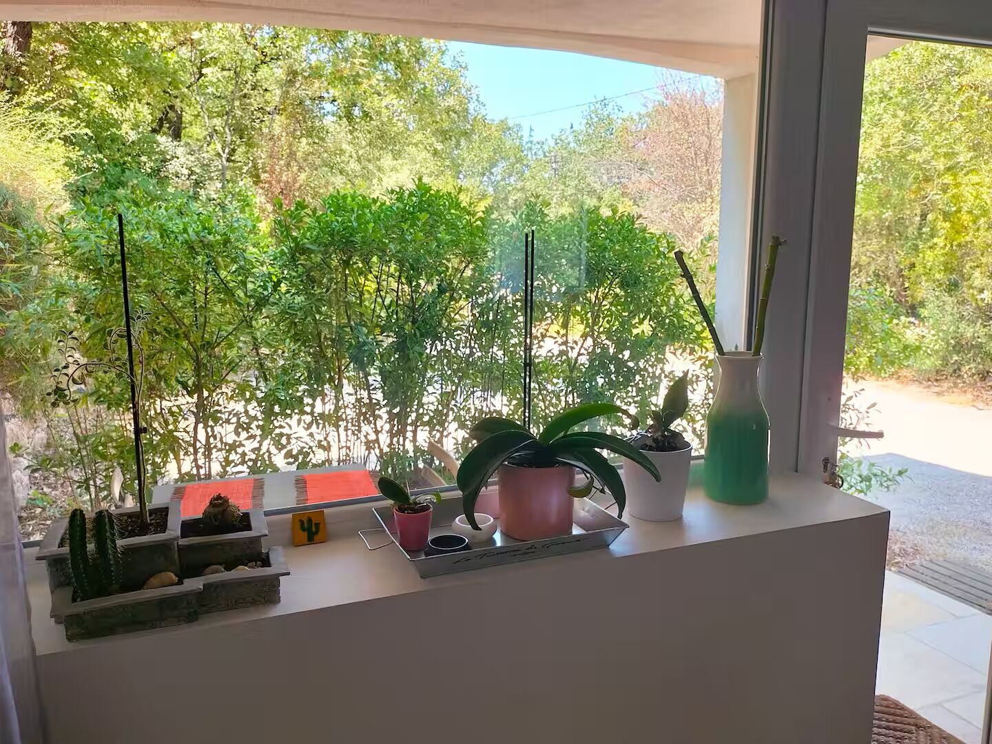 A window with a view of a garden, a cactus, and a cactus-shaped decoration.