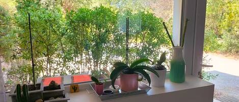 A window with a view of a garden, a cactus, and a cactus-shaped decoration.