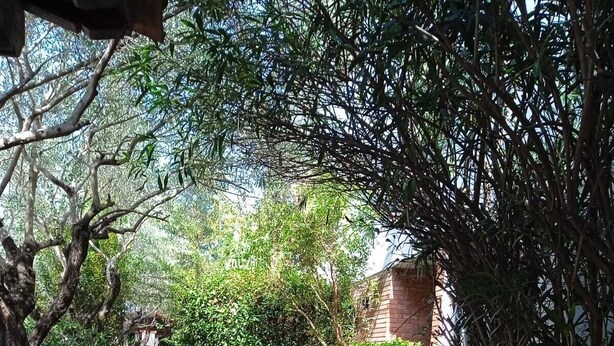 A stone pathway leading to a wooden table and chairs set outdoors, surrounded by lush greenery and a brick building. - 100 meters from the historic center of Lucca with free parking. (Lucca)