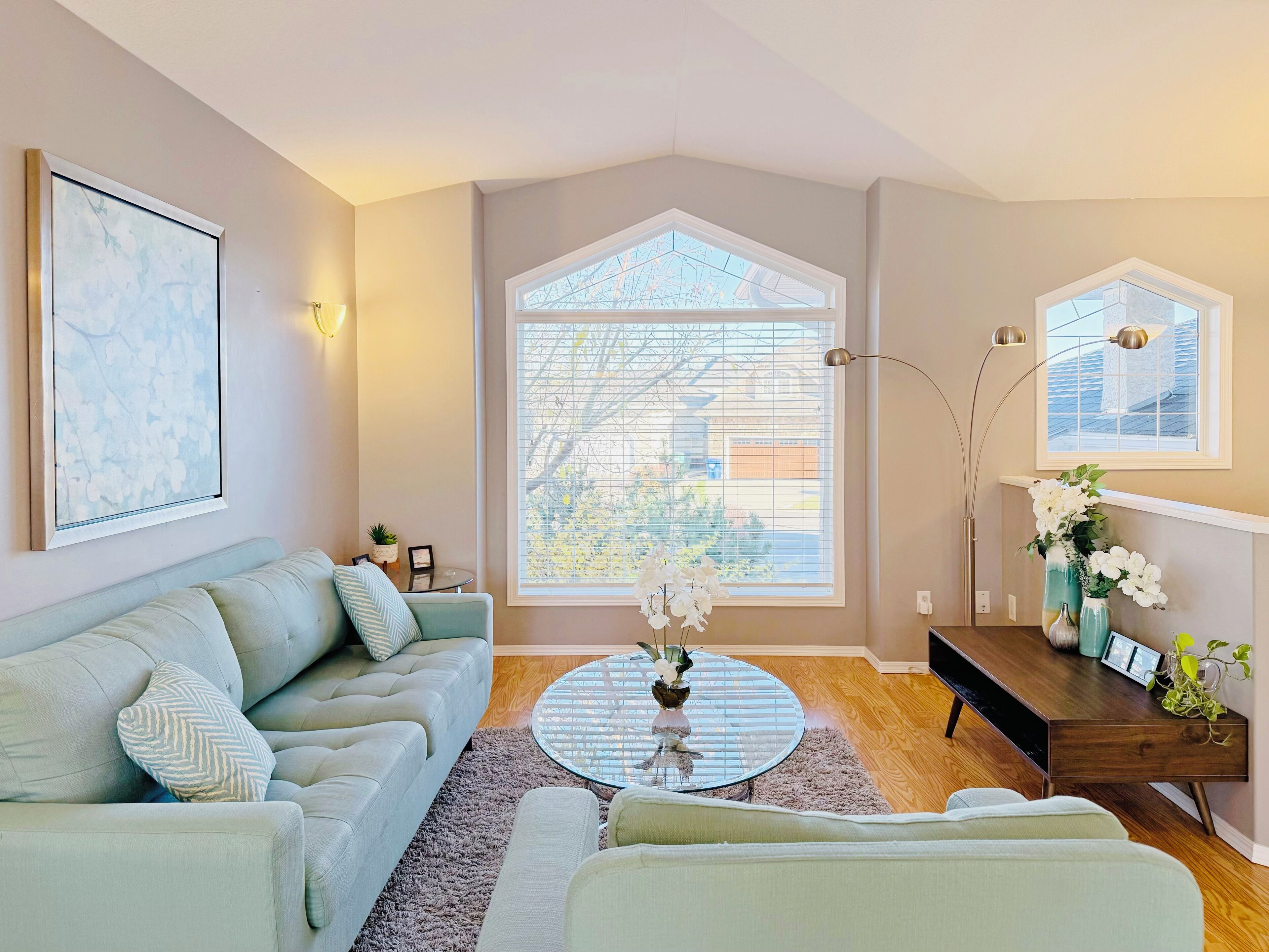 TV connectée, livres