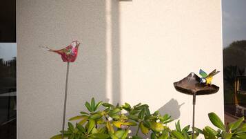 Detalle del exterior