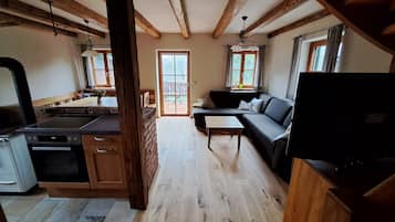 Télévision, cheminée, livres