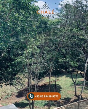 テラス / パティオ