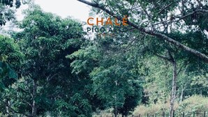 A natural outdoor area with trees and a grassy field, likely part of a hotel property. - Chalé Pico Alto (Guaramiranga)