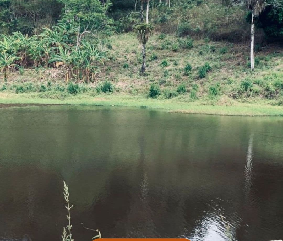 A tranquil pond surrounded by lush greenery and trees, with a hotel name 'Chale Pica'o Hotel' visible.