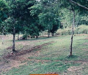 Área natural ao ar livre, com árvores e um campo gramado, provavelmente parte de um hotel.