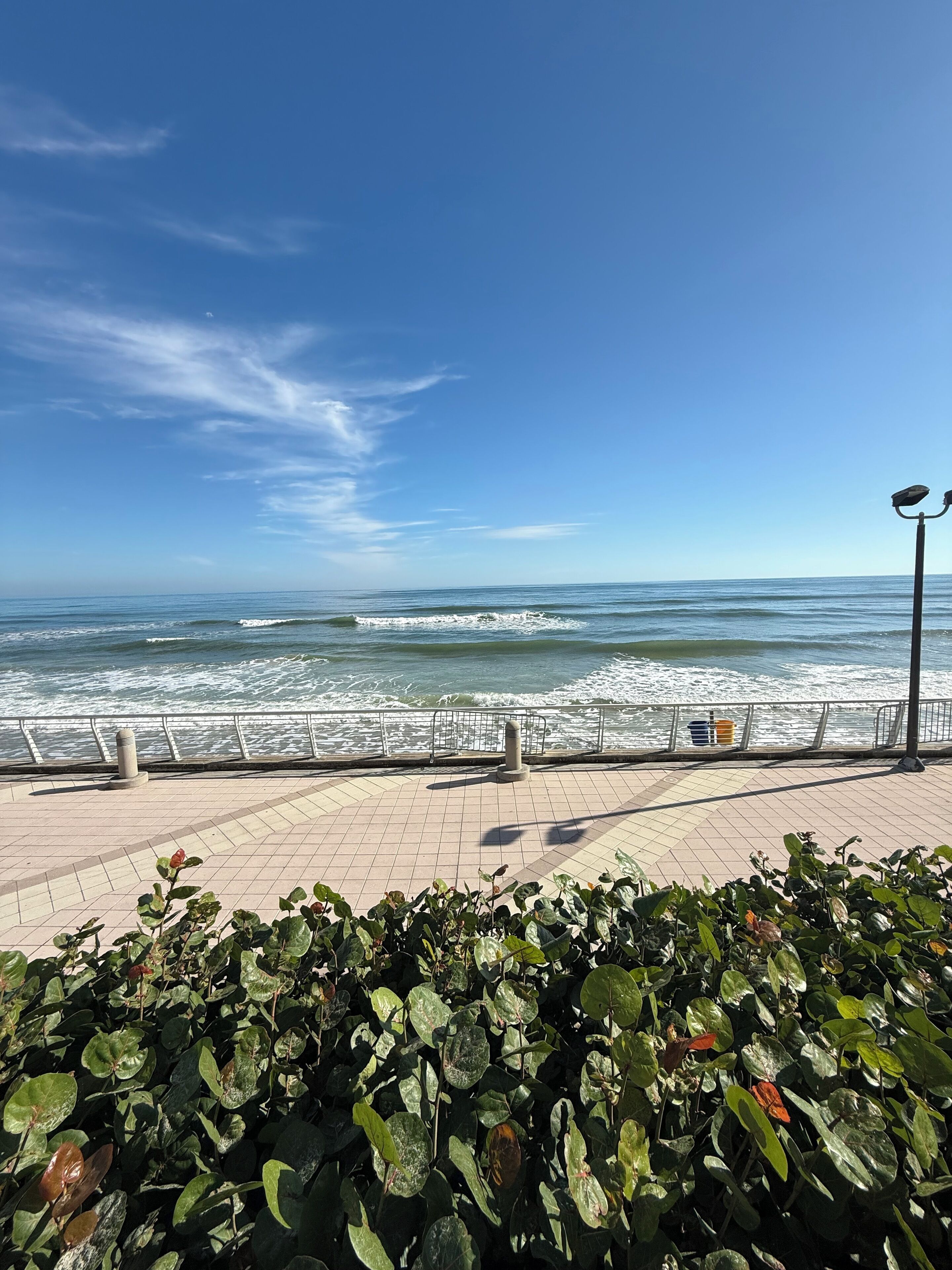 Sun loungers, beach towels