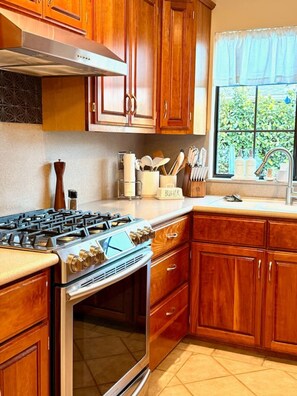 Fridge, oven, stovetop, dishwasher