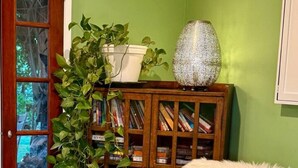A cozy living room with a beige armchair, a wooden bookshelf, and a green wall.