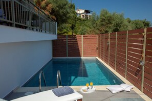 Pool - Comfortable 3 bedroom Villa with swimming pool and sea view. Pet-Friendly (Lefkada)
