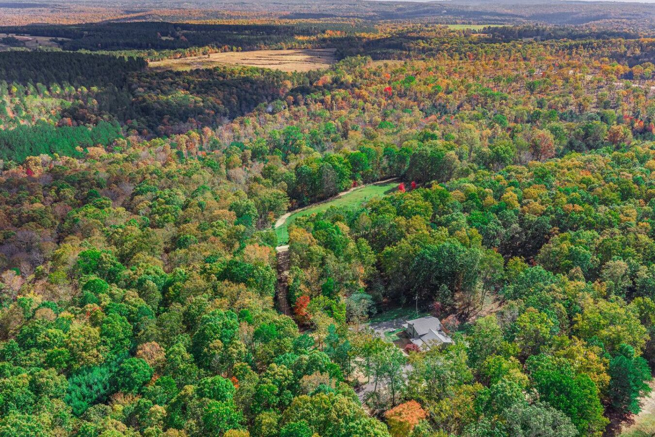 An aerial view of a forested area with a winding path and a small building.