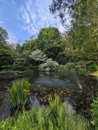 Private, Peaceful Country Escape with pond, firepit, BBQ and outdoor space