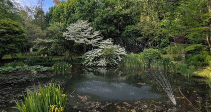 Private, Peaceful Country Escape with pond, firepit, BBQ and outdoor space