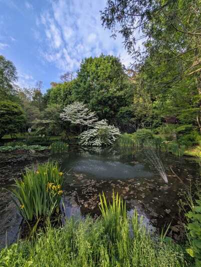 Private, Peaceful Country Escape with pond, firepit, BBQ and outdoor space