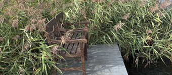 The cottage by the lake