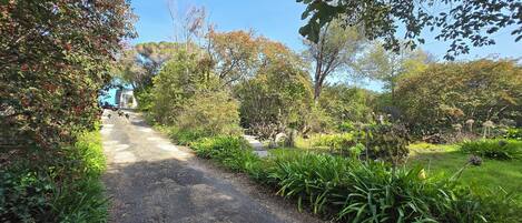 Área da propriedade