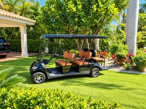 A golf cart parked on a well-maintained lawn with a white gazebo in the background. - Villa Caribe Tortuga B40 (Punta Cana)