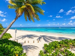 Une plage avec une eau turquoise et limpide, un palmier et un panneau indicateur.