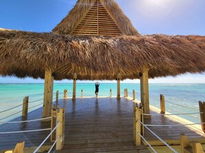 Beach - Villa Caribe Tortuga B40 (Punta Cana)