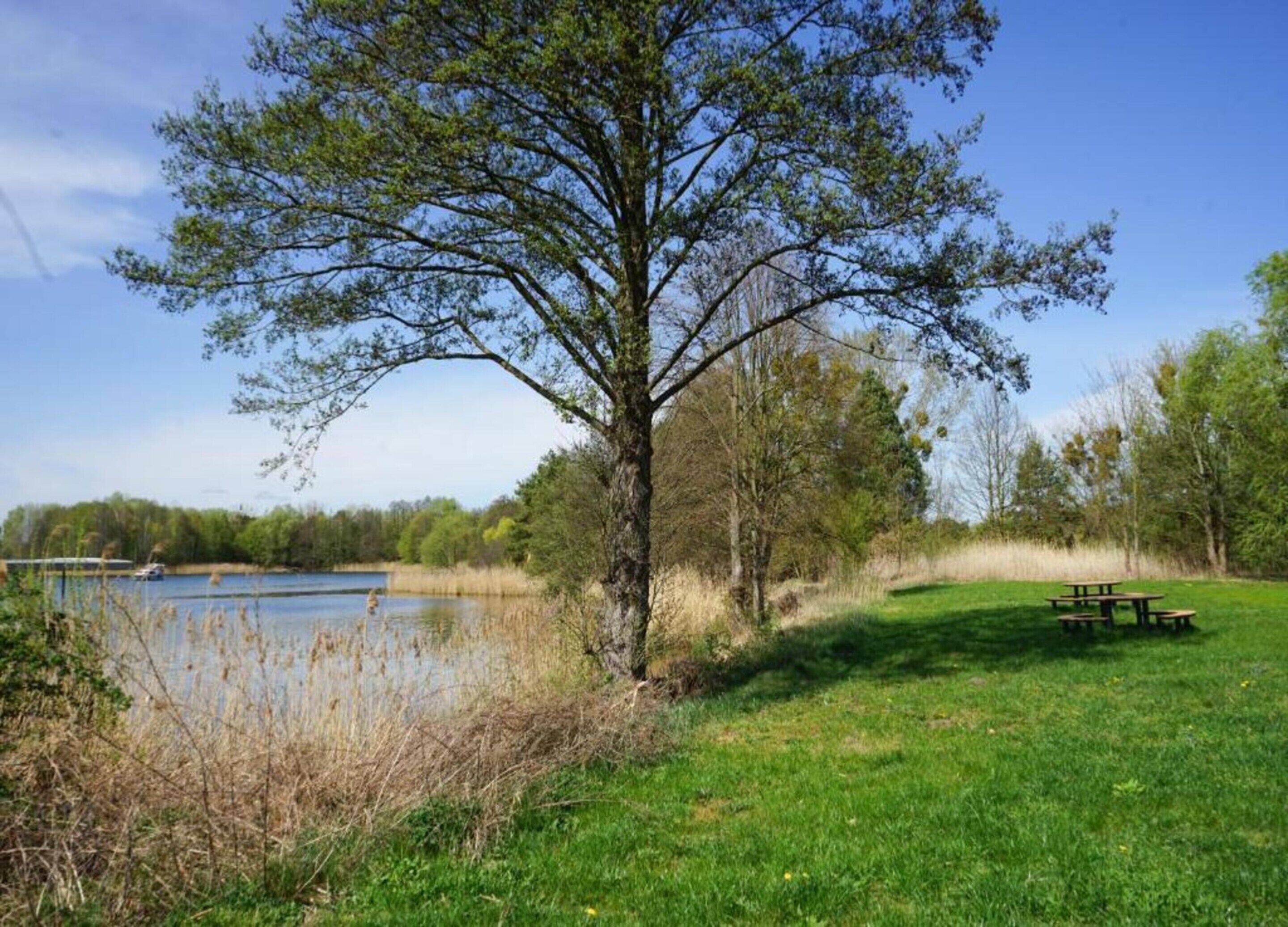 Ein Park mit einem Picknicktisch und einem großen Baum am See.