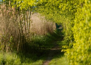 Mobile Home | View from property
