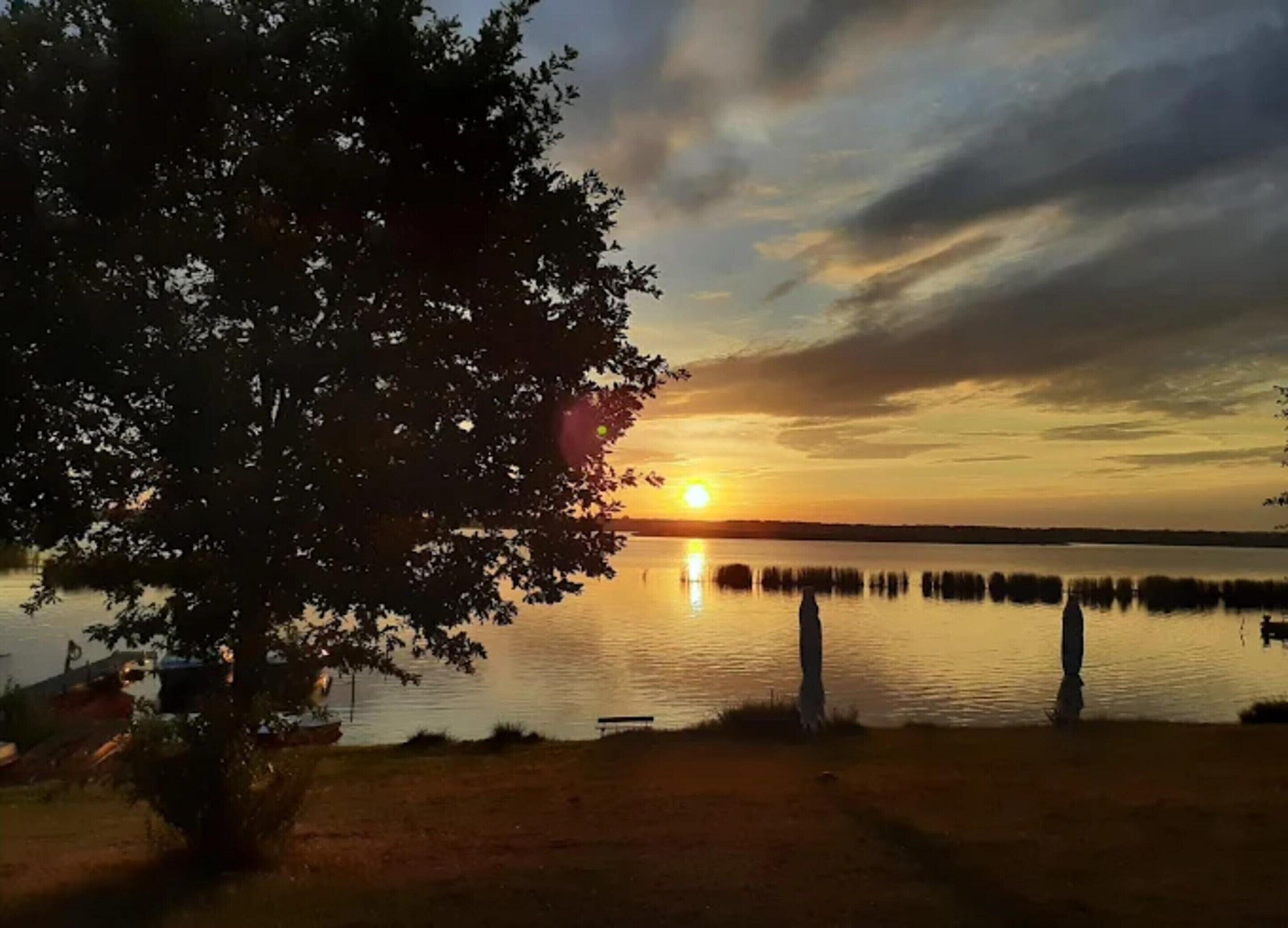 En solnedgång över en stilla sjö, med ett träd i förgrunden och en avlägsen strandlinje.