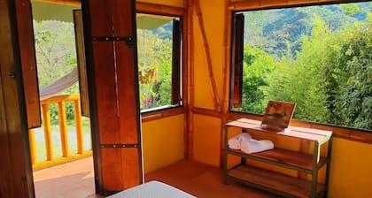 Agüita con Limón Natural Health