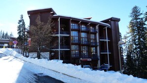 Unclassified image, 2 of 3, button - Renovated Duplex for 5 People Close to the Slopes and Shops in the Village of Charmettoger (Bourg-Saint-Maurice)