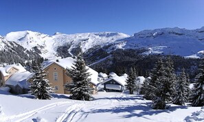 Exterior - Bright Chalet Wood Stove Free and Unlimited Wifi Garage (Araches-la-Frasse)