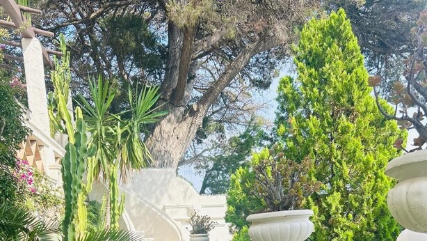 A garden pathway with a stone staircase, surrounded by various plants and trees. - Sumptuous Mediterranean villa in Cannes (Cannes)