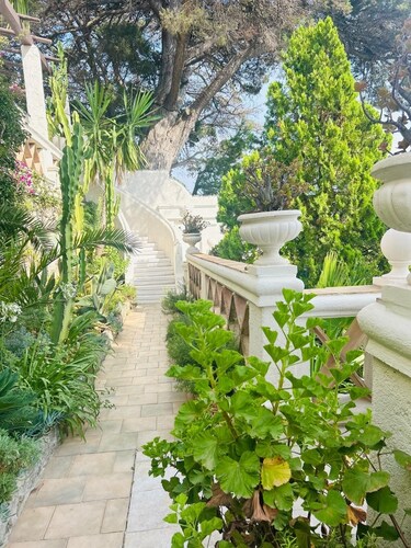 Sumptuous Mediterranean villa in Cannes