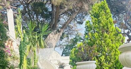 Sumptuous Mediterranean villa in Cannes