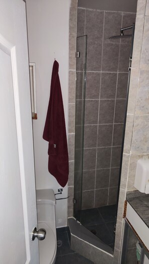Shower, towels, soap, toilet paper - Apartment in north downtown Quito, close to all parks and shopping centers. (Quito)