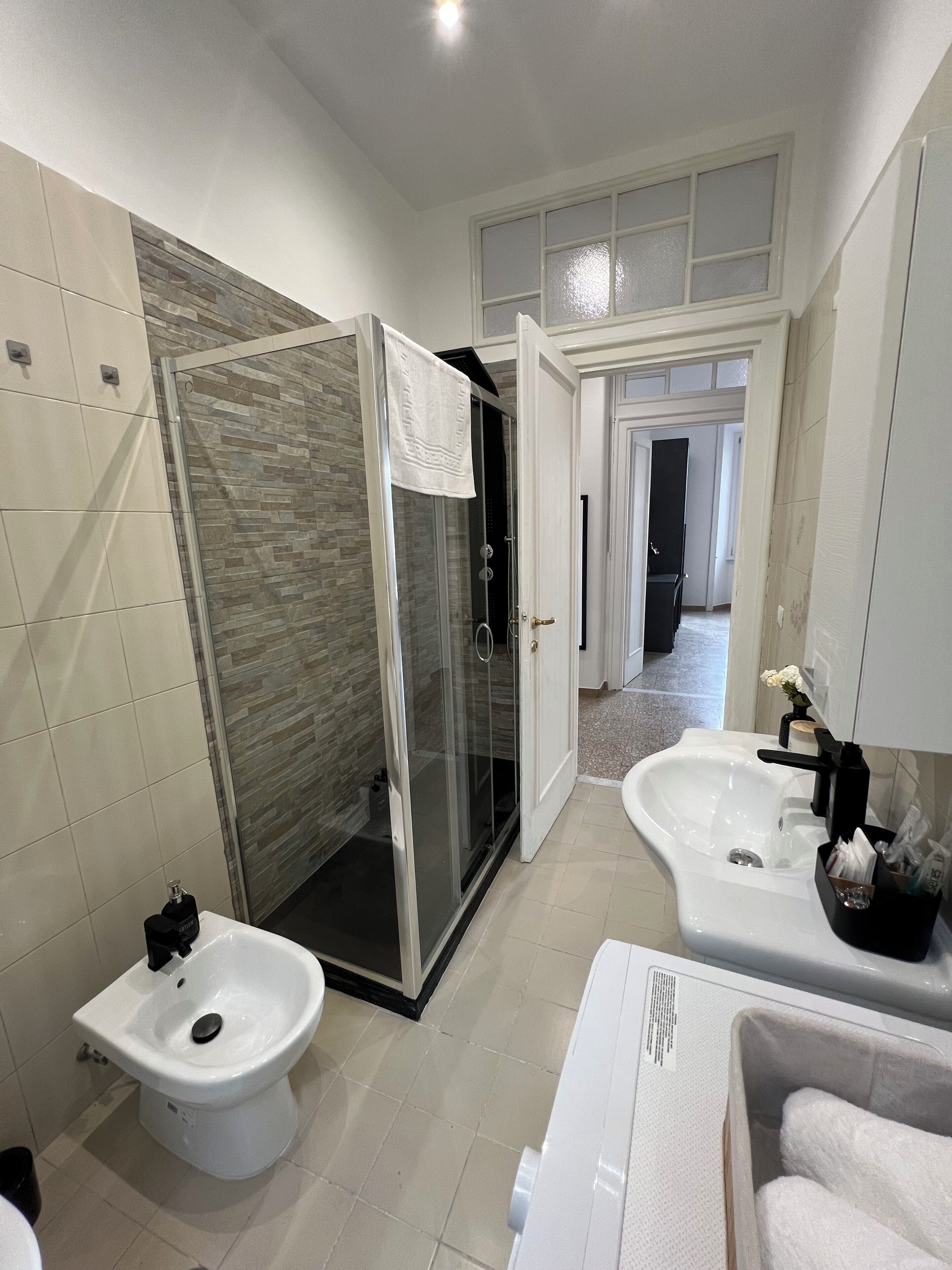 Shower, hair dryer, bidet, towels