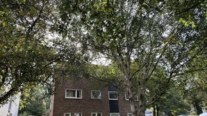 A brick building with multiple windows and a tree in front. - Comfortable Room in a shared apartment. (Cardiff)