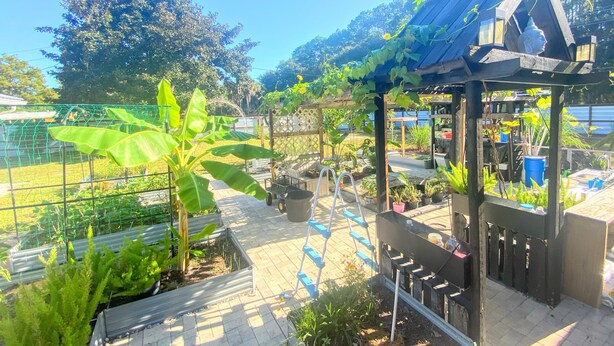 Un jardín con una pérgola de madera, diversas plantas y una escalera de metal.