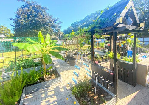 Home Away · Student Family Suite · Hosts live on-site · Special day hangout