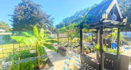 Home Away · Student Family Suite · Hosts live on-site · Special day hangout