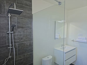 Chuveiro, secador de cabelo, toalhas de banho, sabonete