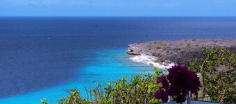 NEW: Boutique Hilltop Studio with Stunning Sea & Salt Pond Views - Flamingos!