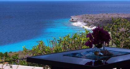 NEW: Hilltop Romantic Suite - Infinity Pool & Sea & Flamingo Views