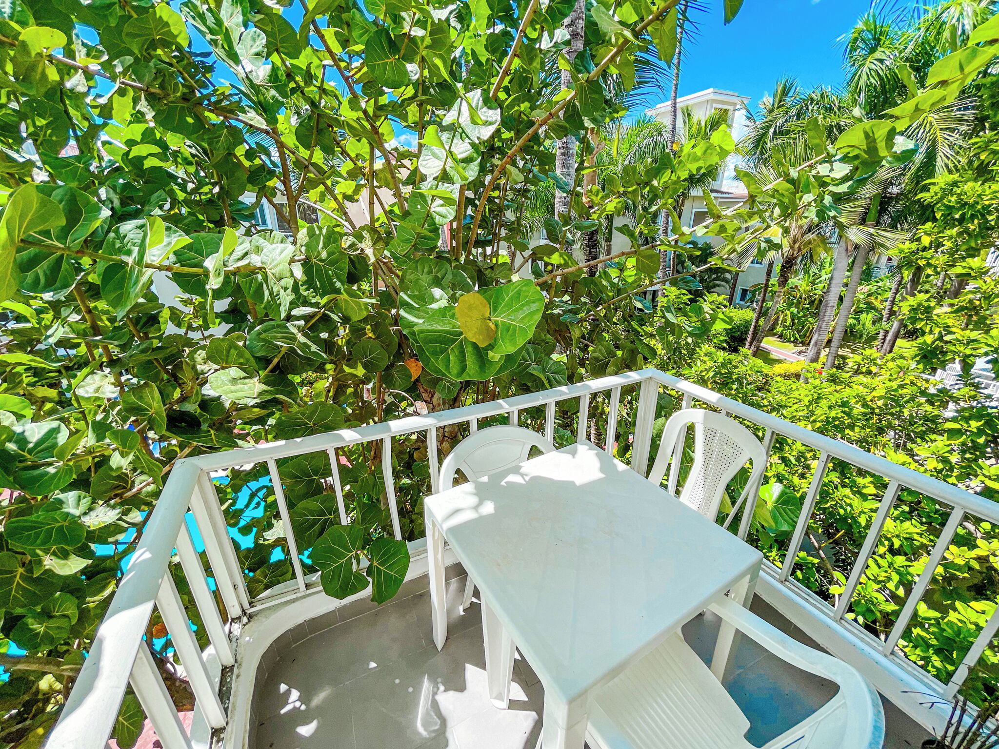 Studio – deluxe, balkong, bassengutsikt | Utsikt fra balkong